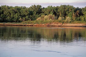Scenery Gallery: Missouri River near Mandan, North Dakota