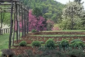 Thomas Jefferson Gallery: Monticello vegetable garden