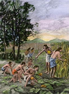 Maize Gallery: Moundbuilders harvesting corn and squash