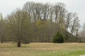 Images Dated 2011 April: 7 Apr 2011