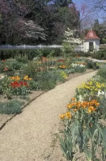 Mount Vernon Collection: Mount Vernon spring flower garden