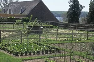 Mount Vernon Gallery: Mount Vernon vegetable garden