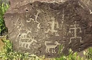 Petroglyph Gallery: NATI2D-00366