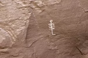 Petroglyph Gallery: NATI2D-00540