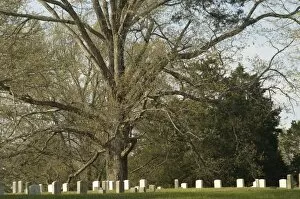 Shiloh National Military Park Collection: National Cemetery, Shiloh battlefield