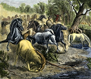 Horses Prints: Native American driving horse herd to water