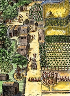 Native American village and gardens of Secotan