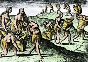 Basket Collection: Natives gathering food in Florida, 1500s