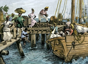 Courtship Prints: Natives loading a schooner with coconuts at Kingston