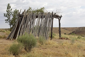 Arizona Prints: Navajo wickiup, a summer shelter