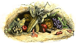 Some New World crops, including maize