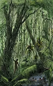 Latin America:Caribbean Collection: New World natives in a rain forest