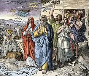 Old Testament Gallery: Noahs ark after the flood ended