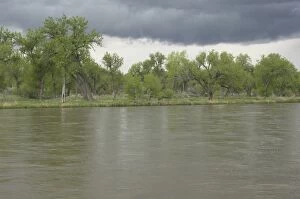 Landscape Gallery: North Platte River in Nebraska