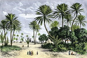 Islam Prints: Oasis of Gafsa in Tunisia, North Africa