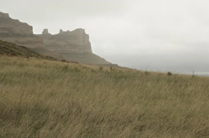 Landscapes:wilderness Gallery: Oregon Trail in western Nebraska