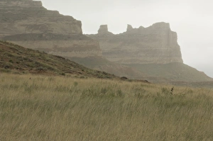 Landscapes:wilderness Gallery: Oregon Trail in western Nebraska