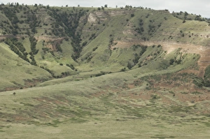 Landscapes:wilderness Gallery: Oregon Trail in western Nebraska