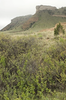 Landscapes:wilderness Gallery: Oregon Trail in western Nebraska