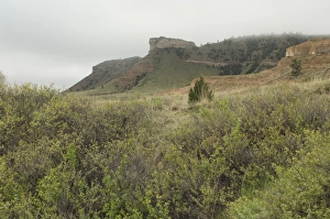 Landscapes:wilderness Gallery: Oregon Trail in western Nebraska