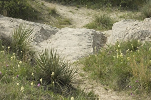 Scenery Gallery: Oregon Trail in Wyoming