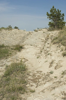 Scenery Gallery: Oregon Trail in Wyoming