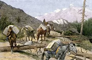 Rockies Gallery: Pack horses in the Rocky Mountains, 1800s