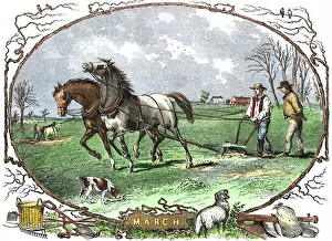 Pair of horses pulling a plow - calendar illustration for the month of March