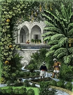 Islam Gallery: Palestinian garden, 1800s
