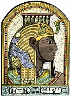 Pharaoh Gallery: PANC2A-00014