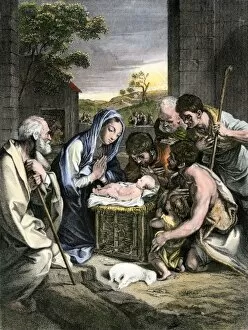 Nativity Collection: PBIB2A-00050