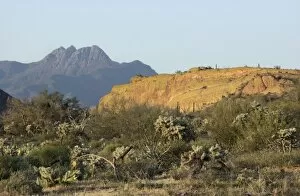 Scen Ic Gallery: Four Peaks Wilderness in the mountains of central Arizona