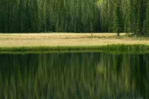 Pecos Wilderness Area Collection: Pecos Wilderness lake, New Mexico