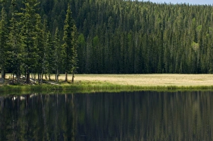 Images Dated 4th June 2006: Pecos Wilderness lake, New Mexico