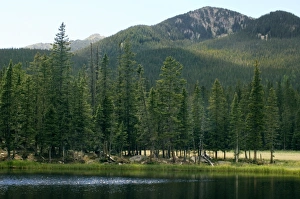 Images Dated 4th June 2006: Pecos Wilderness, New Mexico