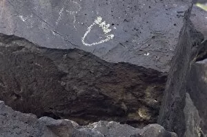 Archaeological Site Gallery: Petroglyph of a bears paw near Albuquerque, New Mexico
