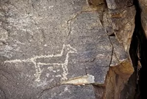 Rock Gallery: Petroglyph of a coyote or wolf, New Mexico