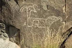 Jornada Mogollon Gallery: Petroglyph of the Jornada-Mogollon culture, NM