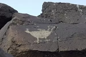 Igneous Rock Gallery: Petroglyph near Albuquerque, New Mexico