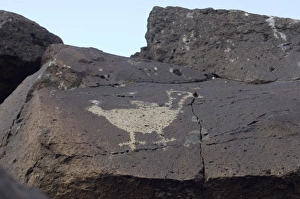Petroglyphs State Park Gallery: Petroglyph near Albuquerque, New Mexico