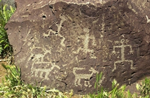Arizona Prints: Petroglyphs of human