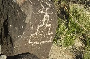 Storm Cloud Gallery: Petroglyphs of the Jornada-Mogollon culture, NM