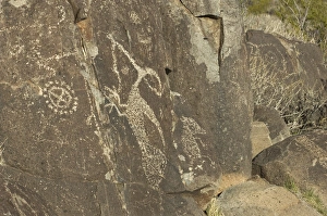 Petroglyphs of the Jornada-Mogollon culture, NM