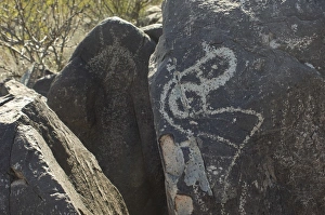 Petroglyphs of the Jornada-Mogollon culture, NM