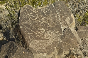 Petroglyphs of the Jornada-Mogollon culture, NM