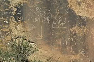 New Mexico Gallery: Petroglyphs in Lobo Canyon, NM
