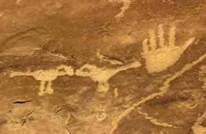 Images Dated: 2001 Collection