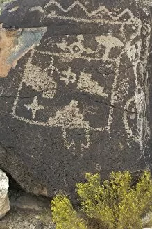 Images Dated 19th September 2007: Petroglyphs near Albuquerque, New Mexico