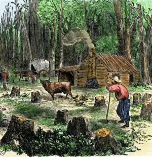 Pioneer clearing land around his log cabin