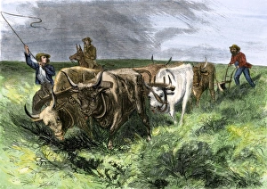 Pioneers and their ox-teams plowing the prairies west of the Mississippi